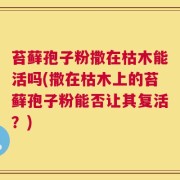 苔藓孢子粉撒在枯木能活吗(撒在枯木上的苔藓孢子粉能否让其复活？)