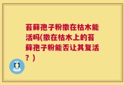 苔藓孢子粉撒在枯木能活吗(撒在枯木上的苔藓孢子粉能否让其复活？)