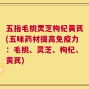 五指毛桃灵芝枸杞黄芪(五味药材提高免疫力：毛桃、灵芝、枸杞、黄芪)