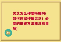 灵芝怎么种要搭棚吗(如何在家种植灵芝？必要的搭建方法和注意事项)