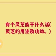 有个灵芝能干什么活(灵芝的用途及功效。)