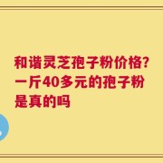 和谐灵芝孢子粉价格？一斤40多元的孢子粉是真的吗