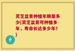 灵芝盆景种植年限是多少(灵芝盆景可种植多年，寿命长达多少年？)