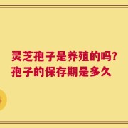 灵芝孢子是养殖的吗？孢子的保存期是多久