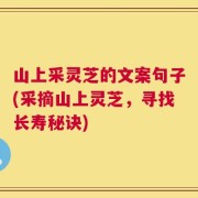 山上采灵芝的文案句子(采摘山上灵芝，寻找长寿秘诀)