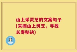 山上采灵芝的文案句子(采摘山上灵芝，寻找长寿秘诀)