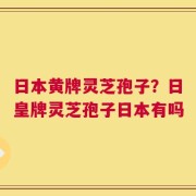 日本黄牌灵芝孢子？日皇牌灵芝孢子日本有吗