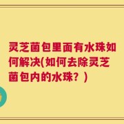 灵芝菌包里面有水珠如何解决(如何去除灵芝菌包内的水珠？)