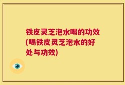 铁皮灵芝泡水喝的功效(喝铁皮灵芝泡水的好处与功效)