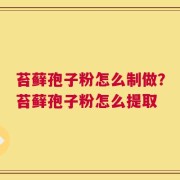 苔藓孢子粉怎么制做？苔藓孢子粉怎么提取