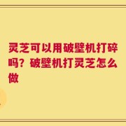 灵芝可以用破壁机打碎吗？破壁机打灵芝怎么做