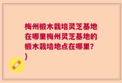 梅州椴木栽培灵芝基地在哪里梅州灵芝基地的椴木栽培地点在哪里？)