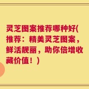 灵芝图案推荐哪种好(推荐：精美灵芝图案，鲜活靓丽，助你倍增收藏价值！)
