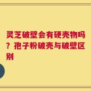 灵芝破壁会有硬壳物吗？孢子粉破壳与破壁区别