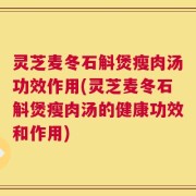 灵芝麦冬石斛煲瘦肉汤功效作用(灵芝麦冬石斛煲瘦肉汤的健康功效和作用)