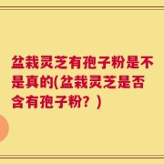 盆栽灵芝有孢子粉是不是真的(盆栽灵芝是否含有孢子粉？)