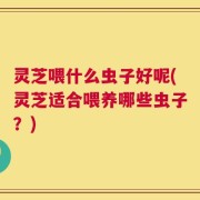 灵芝喂什么虫子好呢(灵芝适合喂养哪些虫子？)