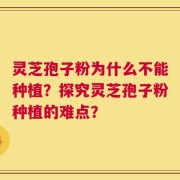 灵芝孢子粉为什么不能种植？探究灵芝孢子粉种植的难点？
