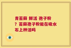 青苔藓 鲜活 孢子粉？苔藓孢子粉能在吸水石上种活吗