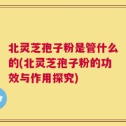 北灵芝孢子粉是管什么的(北灵芝孢子粉的功效与作用探究)