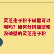 灵芝孢子粉不破壁可以喝吗？如何分辨破壁和没破壁的灵芝孢子粉