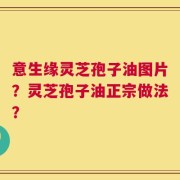 意生缘灵芝孢子油图片？灵芝孢子油正宗做法？