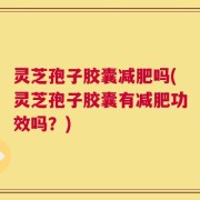 灵芝孢子胶囊减肥吗(灵芝孢子胶囊有减肥功效吗？)