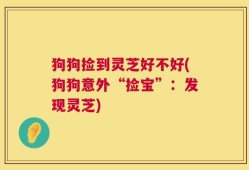 狗狗捡到灵芝好不好(狗狗意外“捡宝”：发现灵芝)