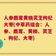 人参鹿茸黄精灵芝枸杞大枣(中草药组合：人参、鹿茸、黄精、灵芝、枸杞、大枣)