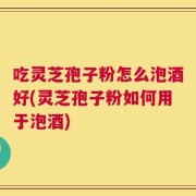 吃灵芝孢子粉怎么泡酒好(灵芝孢子粉如何用于泡酒)