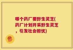 哪个药厂要野生灵芝(药厂计划开采野生灵芝，引发社会担忧)