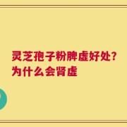 灵芝孢子粉脾虚好处？为什么会肾虚