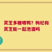 灵芝多糖喂鸭？枸杞和灵芝能一起泡酒吗