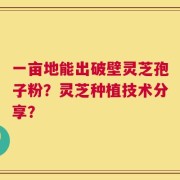 一亩地能出破壁灵芝孢子粉？灵芝种植技术分享？