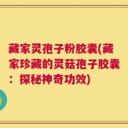 藏家灵孢子粉胶囊(藏家珍藏的灵菇孢子胶囊：探秘神奇功效)