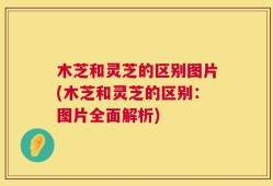 木芝和灵芝的区别图片(木芝和灵芝的区别：图片全面解析)