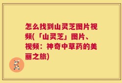 怎么找到山灵芝图片视频(「山灵芝」图片、视频：神奇中草药的美丽之旅)