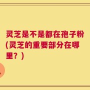 灵芝是不是都在孢子粉(灵芝的重要部分在哪里？)