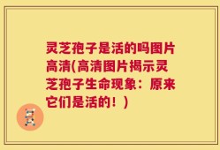 灵芝孢子是活的吗图片高清(高清图片揭示灵芝孢子生命现象：原来它们是活的！)