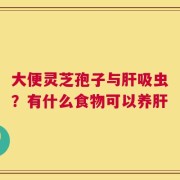 大便灵芝孢子与肝吸虫？有什么食物可以养肝