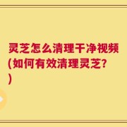 灵芝怎么清理干净视频(如何有效清理灵芝？)