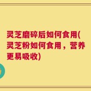 灵芝磨碎后如何食用(灵芝粉如何食用，营养更易吸收)