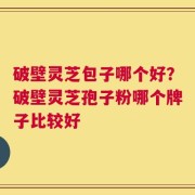 破壁灵芝包子哪个好？破壁灵芝孢子粉哪个牌子比较好