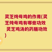 灵芝炖母鸡的作用(灵芝炖母鸡有哪些功效  灵芝鸡汤的药膳功效)