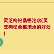灵芝枸杞桑椹泡水(灵芝枸杞桑椹泡水的好处)
