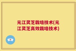 元江灵芝栽培技术(元江灵芝高效栽培技术)