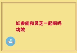 红参能和灵芝一起喝吗功效