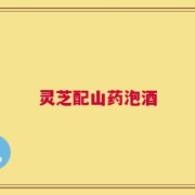灵芝配山药泡酒