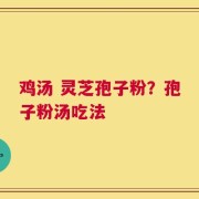 鸡汤 灵芝孢子粉？孢子粉汤吃法