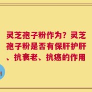 灵芝孢子粉作为？灵芝孢子粉是否有保肝护肝、抗衰老、抗癌的作用